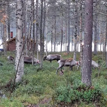 Шале Rantarinne 543 B