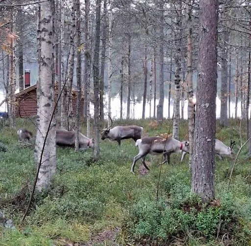 샬레 Rantarinne 543 B